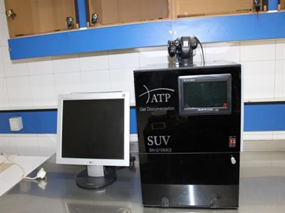 lab7